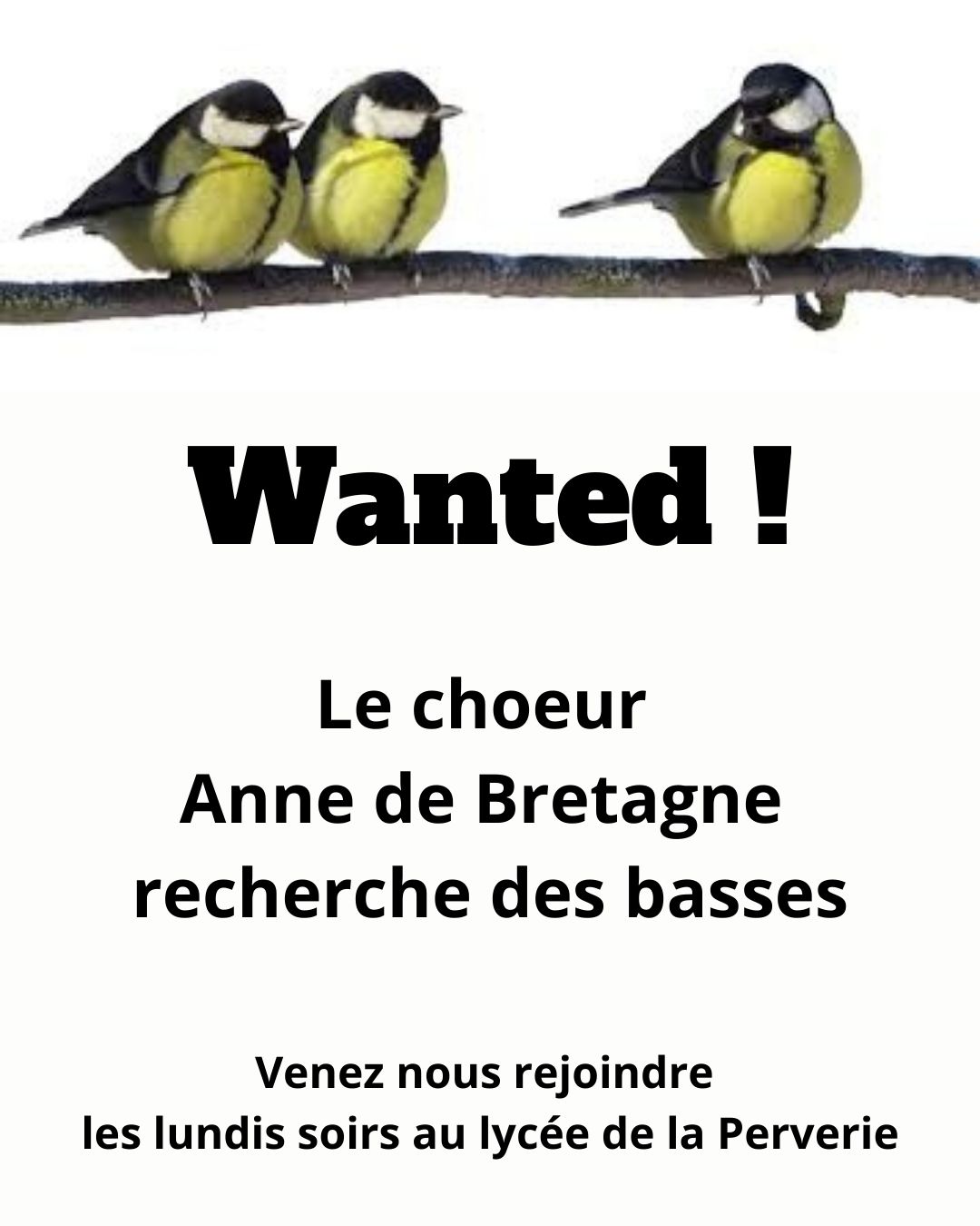 affiche basses mésanges